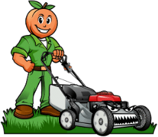 Gwinnett Lawns Lawn Care
