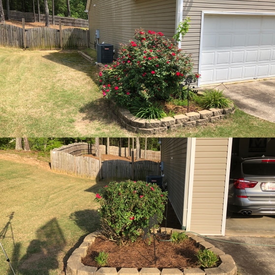 After Leaf Cleaning Service